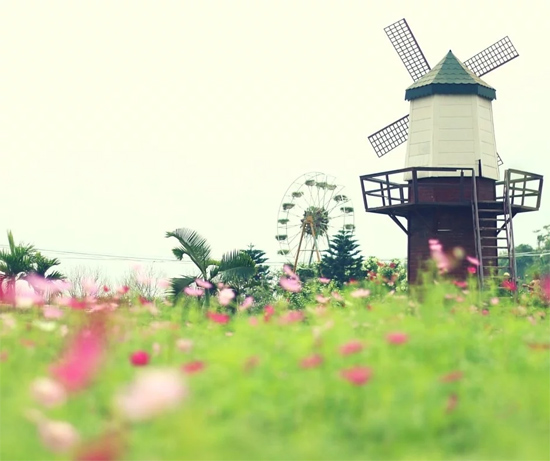 Tả cảnh buổi sáng mùa xuân