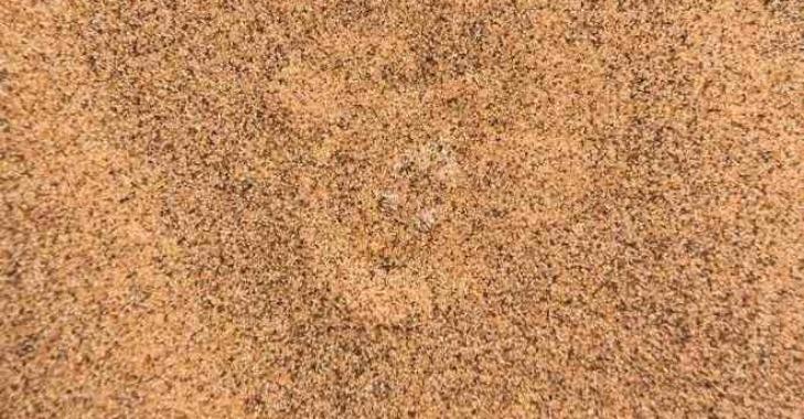 Thử tài tinh mắt