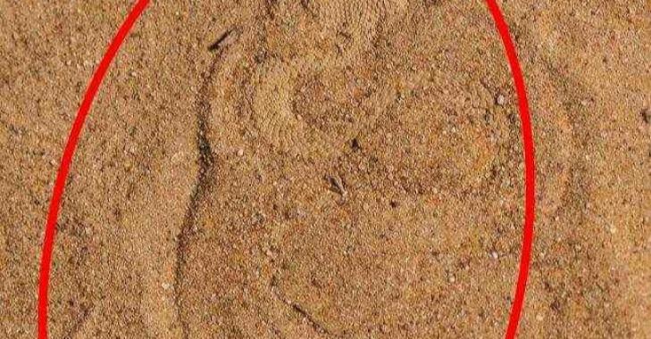 Thử tài tinh mắt