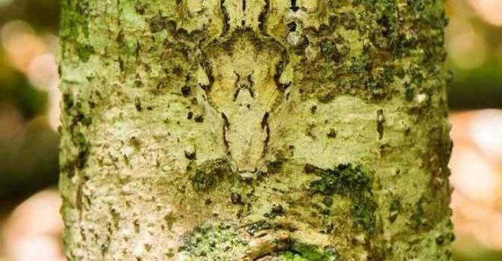 Thử tài tinh mắt