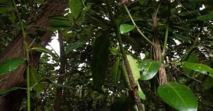 Thử tài tinh mắt