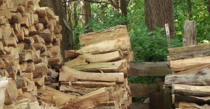 Thử tài tinh mắt