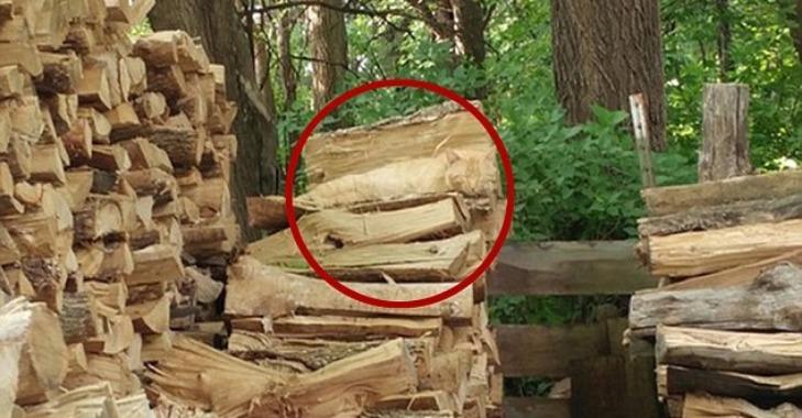 Thử tài tinh mắt