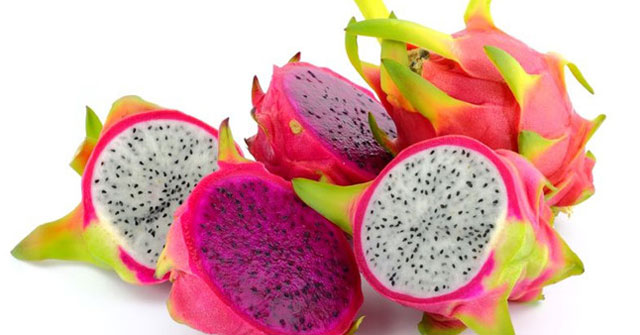 Tả quả Thanh Long