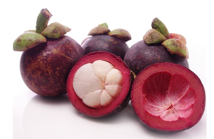 Bài văn tả quả măng cụt số 3