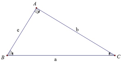 Bồi dưỡng HSG Toán 9 chuyên đề 1: Hệ thức lượng trong tam giác vuông