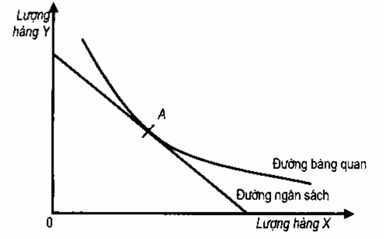 Chuyên đề 5: Chùm bài Toán về Tiếp tuyến, Cát tuyến