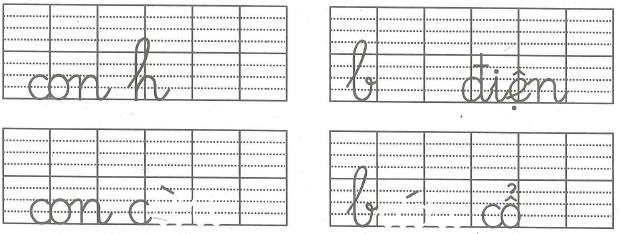 Đề thi giữa học kì 2 môn Tiếng Việt lớp 1 - Đề 8
