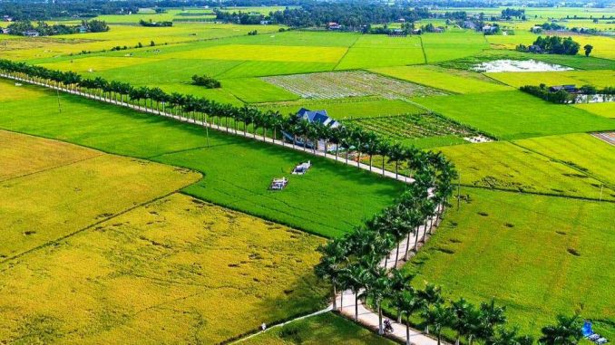 Kể về thành thị hoặc nông thôn