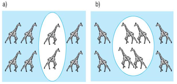 Bài tập Toán lớp 2: Một phần tư