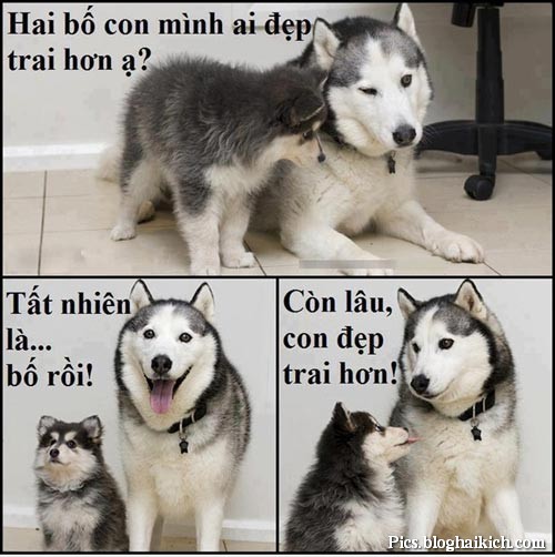 Tài liệu đọc hiểu