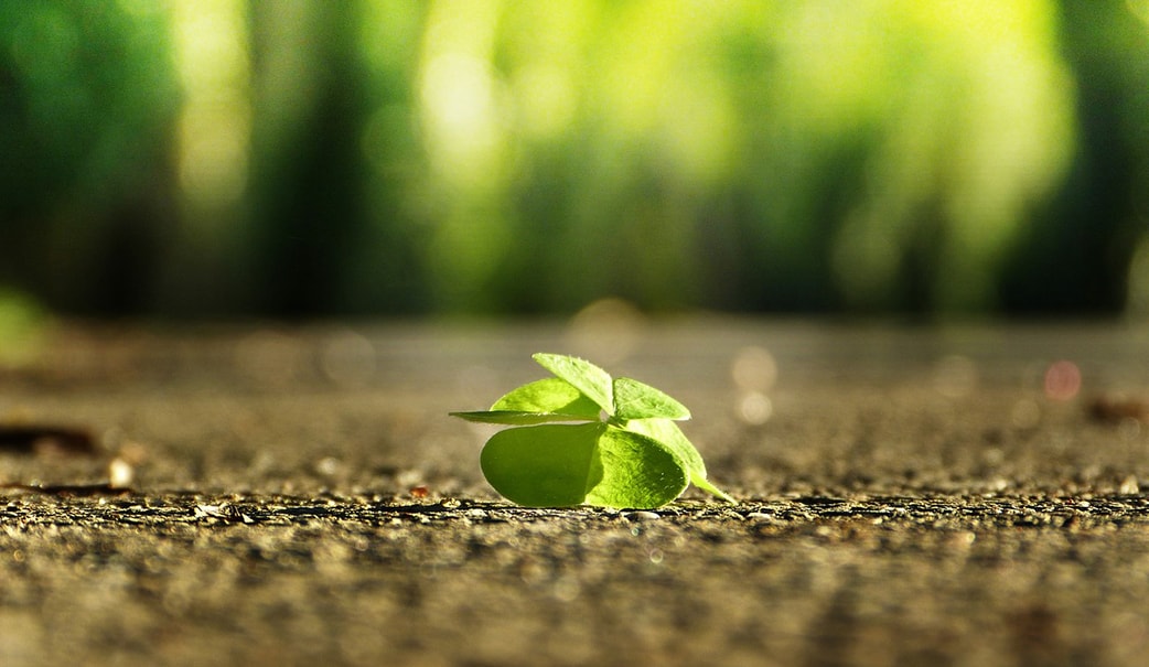 Cảm nhận về cuốn sách yêu thích