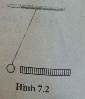 trắc nghiệm vật lý 7