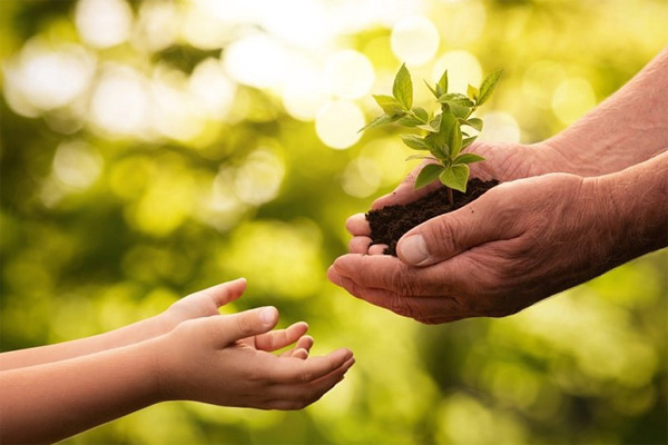 Bài nghị luận xã hội về lòng tốt trong cuộc sống hôm nay