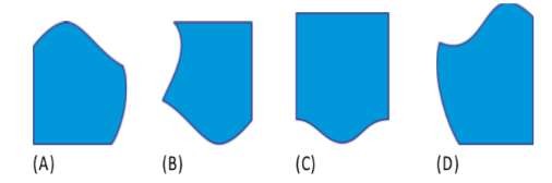Đề thi giữa học kì 2 môn Toán lớp 2 - Đề 1
