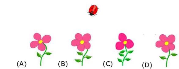 Đề thi giữa học kì 2 môn Toán lớp 2 - Đề 6