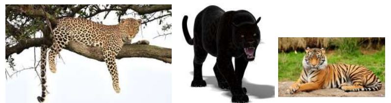 Đề thi giữa học kì 2 môn Toán lớp 2 - Đề 9