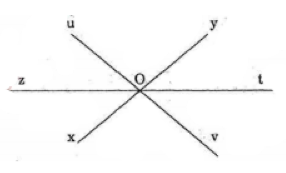 bài tập nâng cao toán lớp 6 góc ảnh số 7