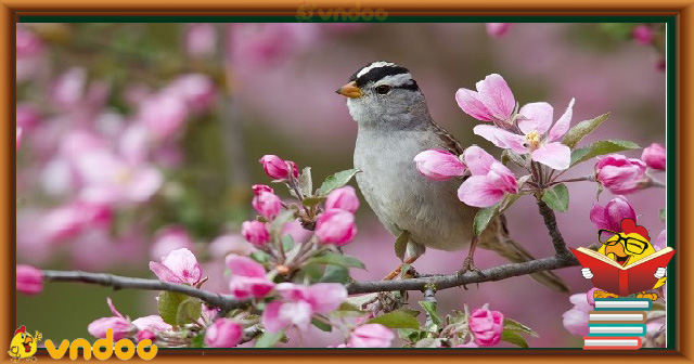 Cảm nhận khổ thơ 4, 5 bài thơ Mùa xuân nho nhỏ của Thanh Hải