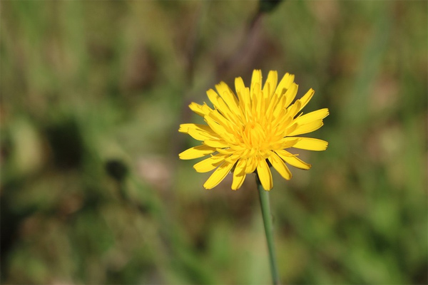 Nghị luận xã hội về những hành động nhỏ làm nên người anh hùng giữa đời thường