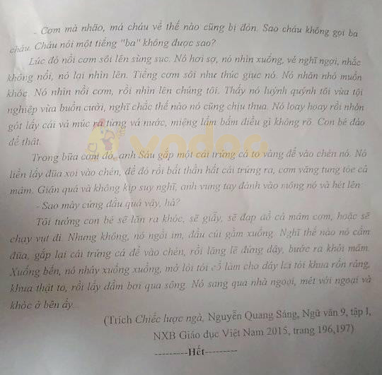 Đề thi thử vào lớp 10 môn Ngữ văn Phòng GD&ĐT huyện Thủy Nguyên năm học 2020 - 2021