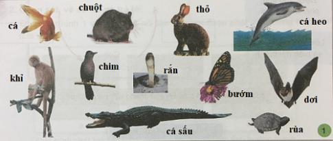 Giải Khoa học lớp 5 VNEN bài 30