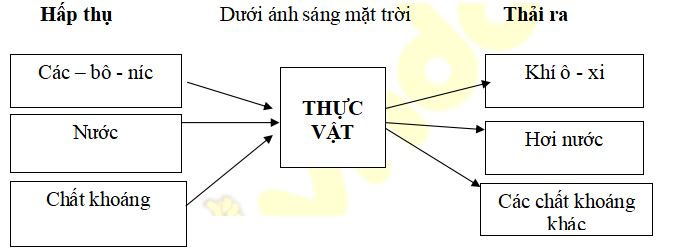 Đề thi học kì 2 lớp 4 môn Khoa học