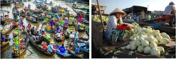 Đề thi học kì 2 lớp 4 môn Khoa học