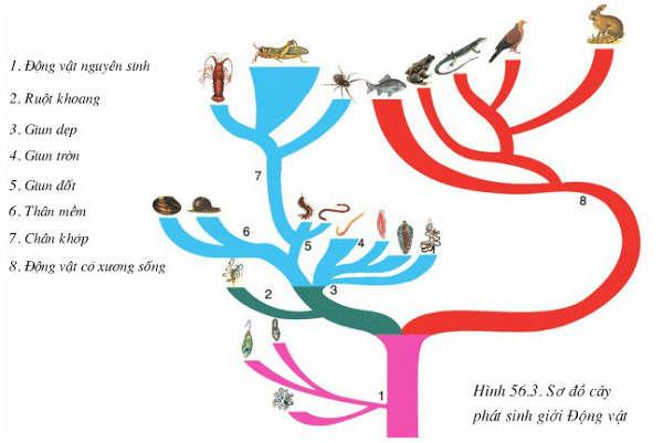 Đề thi học kì 2 Sinh học 7