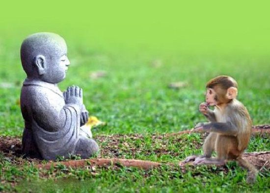 Bài nghị luận xã hội 200 chữ bàn về lòng khoan dung