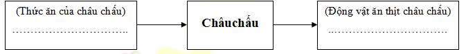 Đề thi học kì 2 lớp 4 môn Khoa học