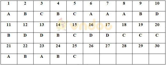 Đề thi hóa học kì 2 lớp 11