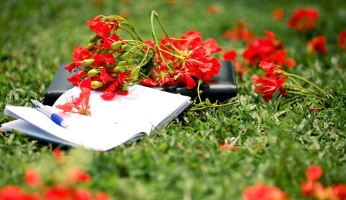 Bài phát biểu cảm tưởng của học sinh lớp 9