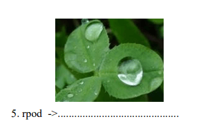 Bộ đề thi học kỳ 2 môn Tiếng Anh lớp 2 CÓ ĐÁP ÁN