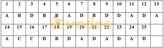 Đề thi Hóa học kì 2 lớp 11 năm 2020