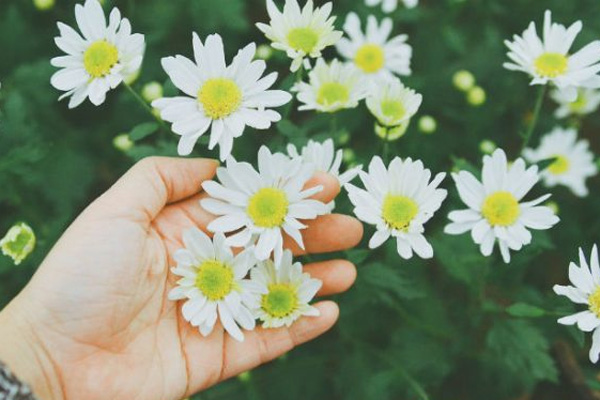 Nghị luận xã hội về câu nói thái độ tích cực chính là bí quyết nhỏ để làm nên sự khác biệt lớn