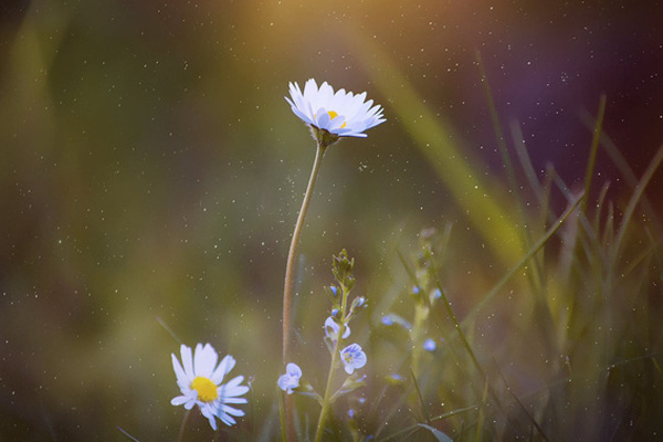 Nghị luận xã hội về lối sống chạy theo vật chất của giới trẻ hiện nay