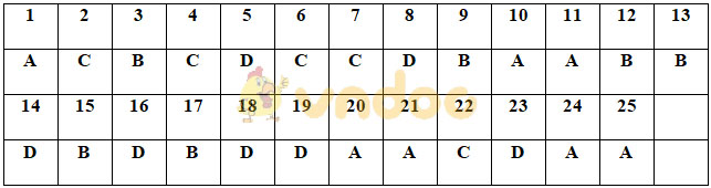 Đề thi Hóa học kì 2 lớp 9 năm 2020