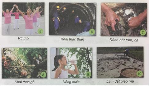 Giải Khoa học lớp 5 VNEN bài 33