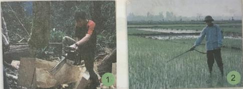 Giải Khoa học lớp 5 VNEN bài 35