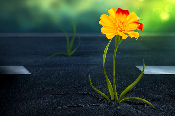 Nghị luận câu tục ngữ: Nhân bất học bất tri lý