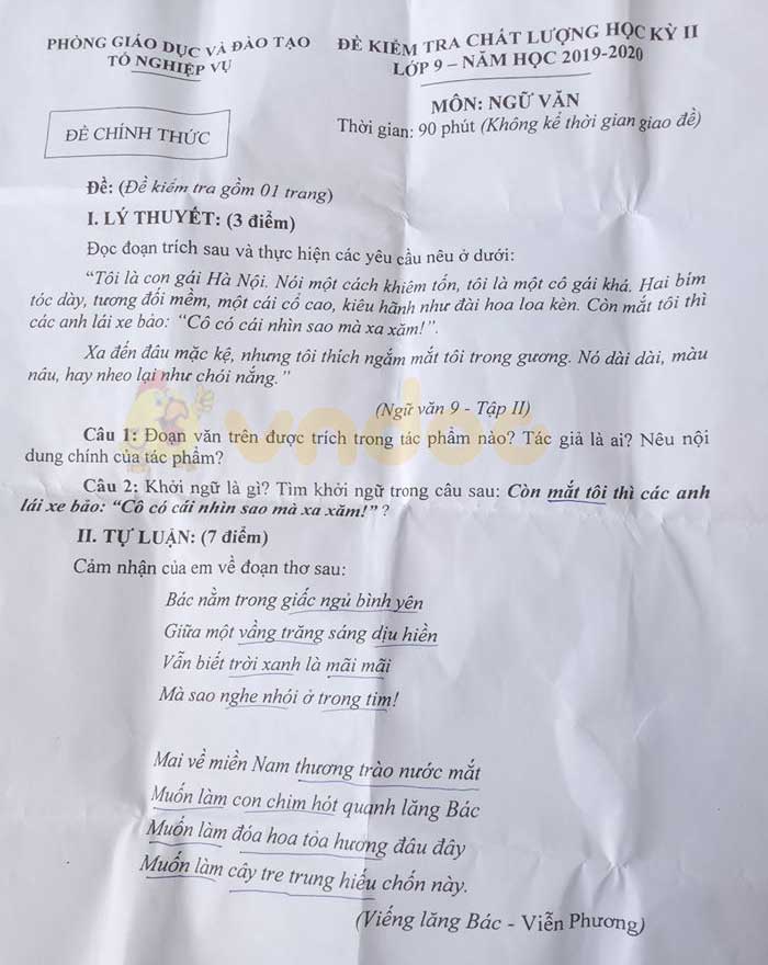 Đề thi học kì 2 lớp 9 môn Văn Trường THPT Châu Thành A, Hậu Giang năm 2020
