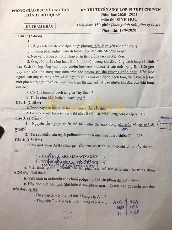 Đề thi tham khảo tuyển sinh vào lớp 10 môn Sinh học Phòng GD&ĐT Hội An năm học 2020 - 2021