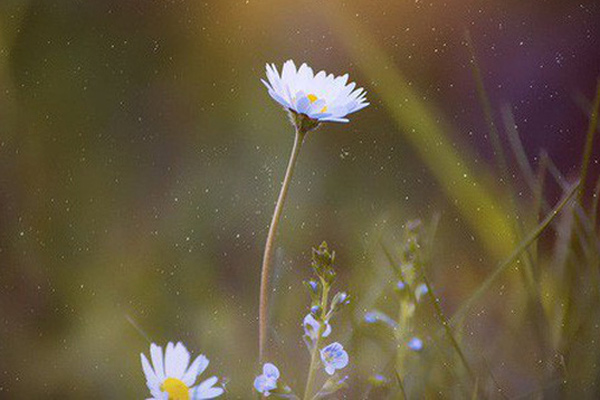 Nghị luận xã hội về văn hóa ứng xử