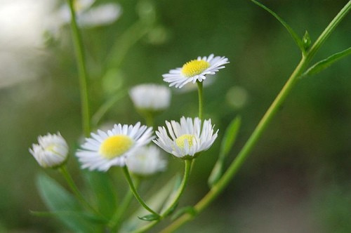 ghị luận xã hội: Mọi phẩm chất của đức hạnh là ở trong hành động