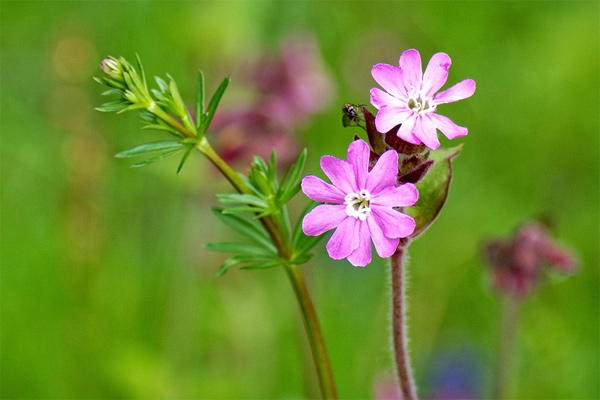 Nghị luận về khoảng lặng trong cuộc sống