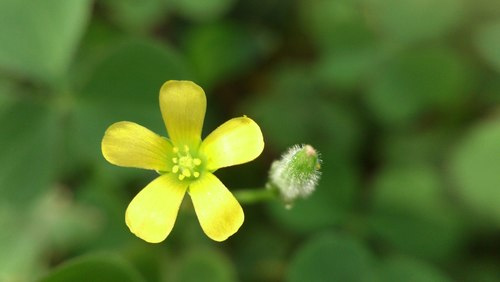 Nghị luận quan điểm: Cống hiến hết mình, hưởng thụ tối đa