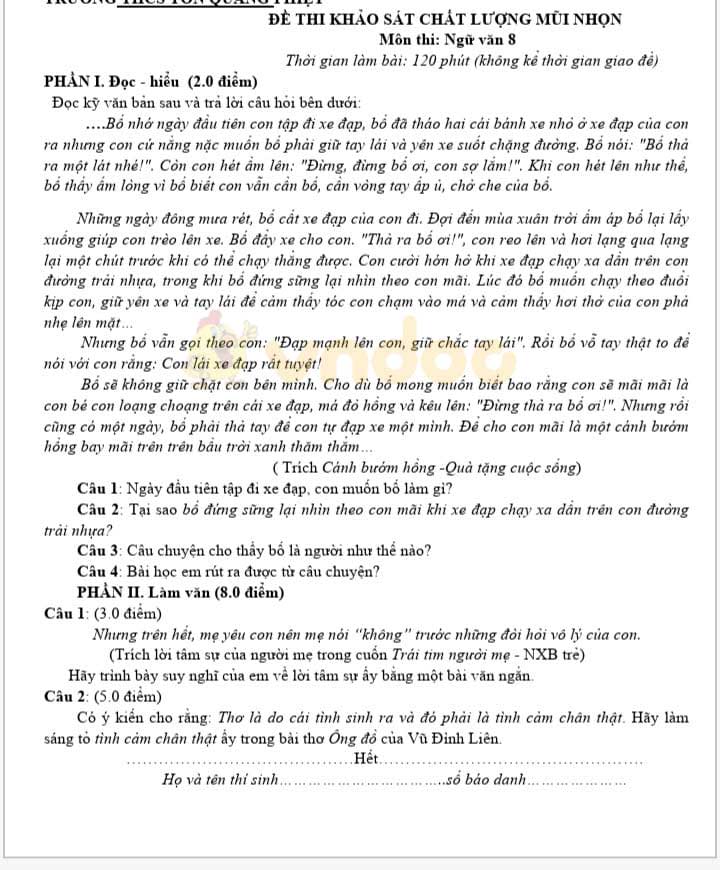 Đề thi KSCL Mũi Nhọn lớp 8 môn Văn Trường THCS Tôn Quang Phiệt năm học 2019 - 2020