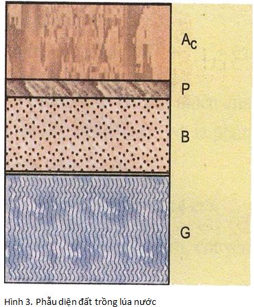 lý thuyết công nghệ 10