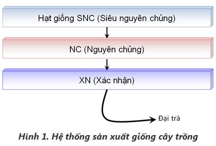 lý thuyết công nghệ 10